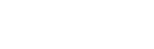 Logo Footer